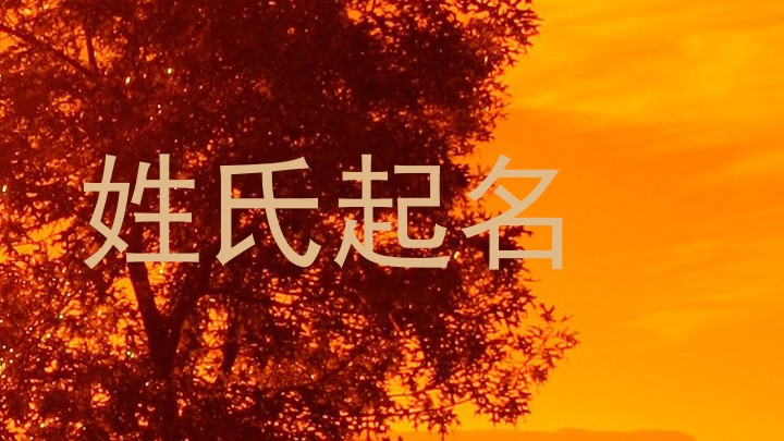 姓氏起名