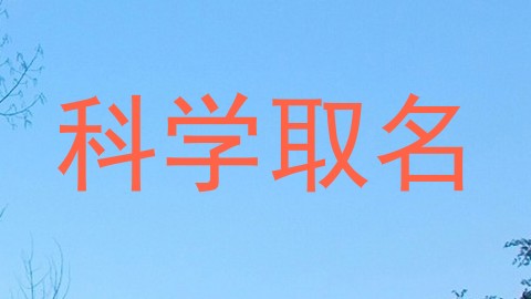 科学取名