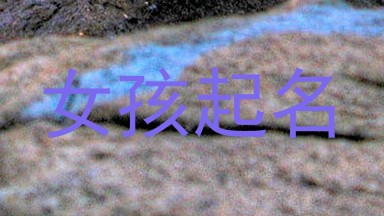 女孩起名