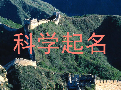 科学起名