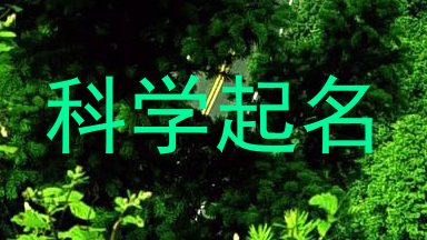 科学起名