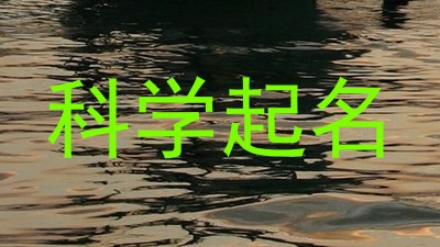 科学起名