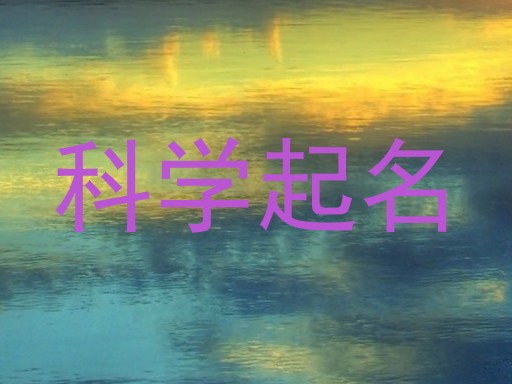科学起名