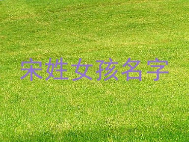 宋姓女孩名字
