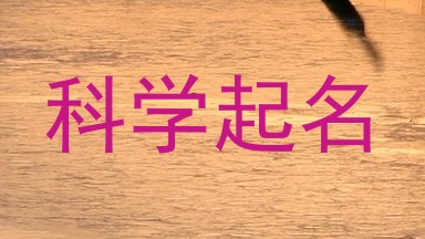 科学起名
