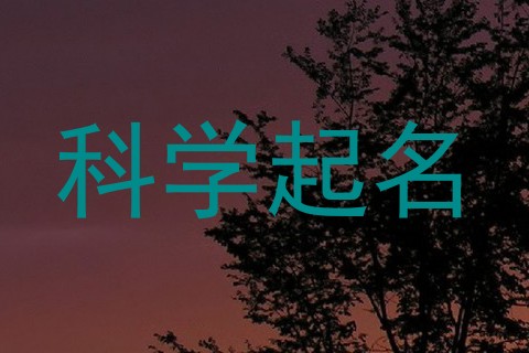 科学起名