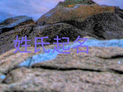 姓氏起名