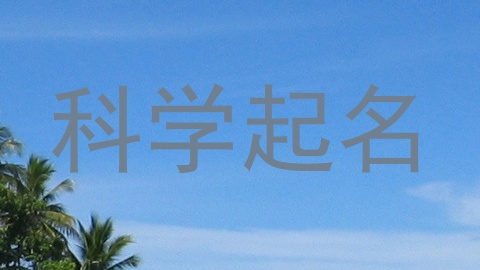 科学起名