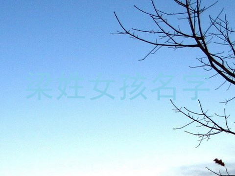 梁姓女孩名字