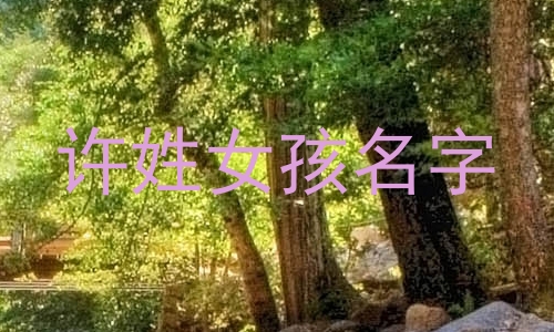 许姓女孩名字