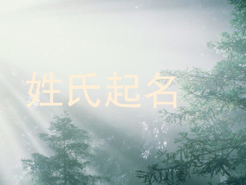 姓氏起名