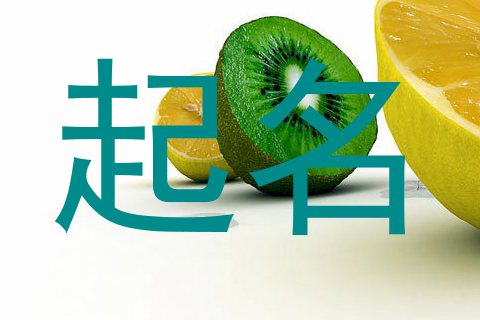 起名