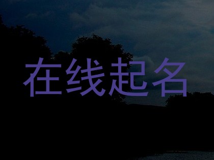 在线起名