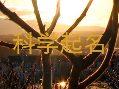 科学起名