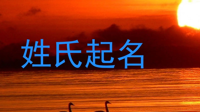 姓氏起名