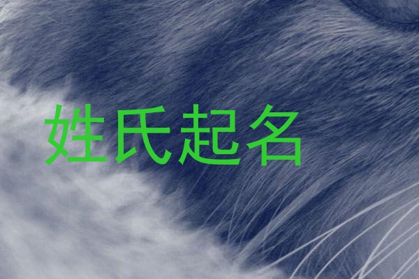 姓氏起名