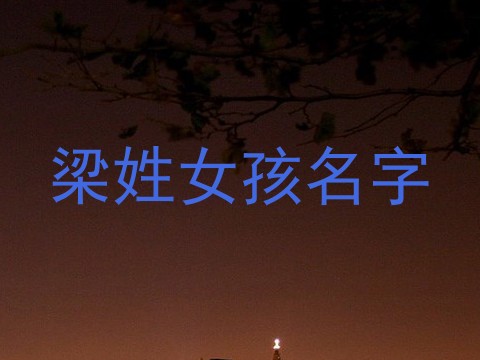 梁姓女孩名字