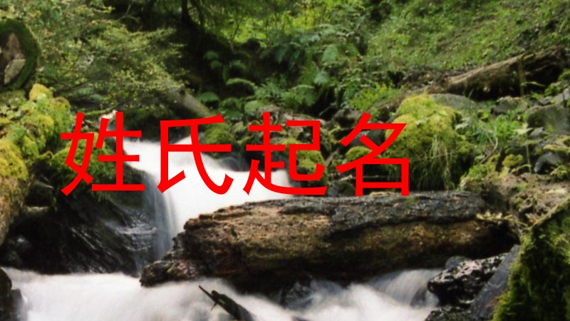姓氏起名