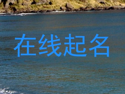在线起名