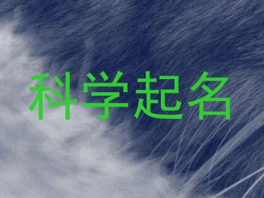 科学起名