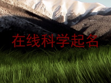 在线科学起名