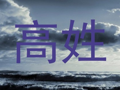 高姓