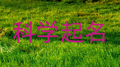 科学起名
