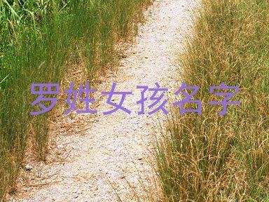 罗姓女孩名字