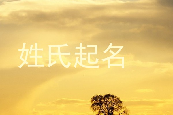 姓氏起名