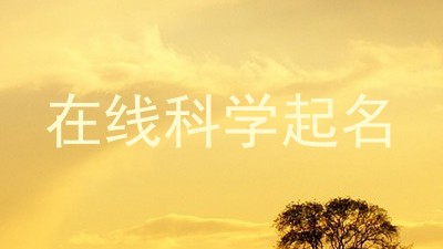 在线科学起名