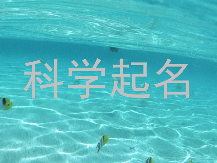 科学起名