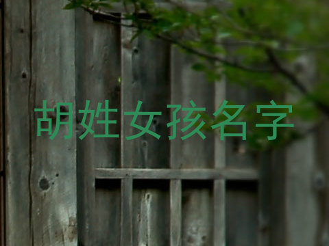 胡姓女孩名字