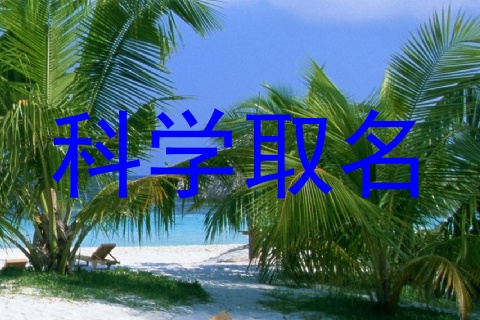 科学取名