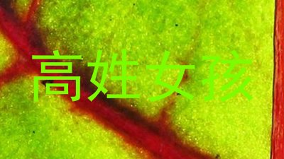 高姓女孩