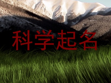 科学起名
