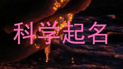 科学起名