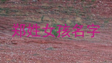 郑姓女孩名字