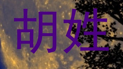 胡姓