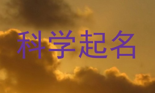 科学起名