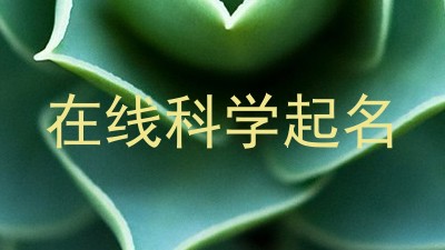 在线科学起名