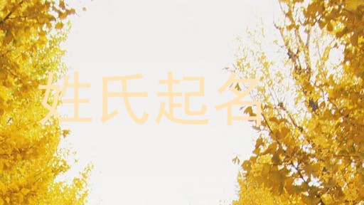 姓氏起名