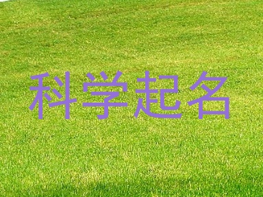 科学起名