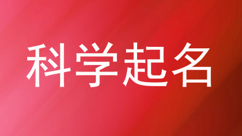 科学起名