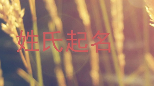姓氏起名