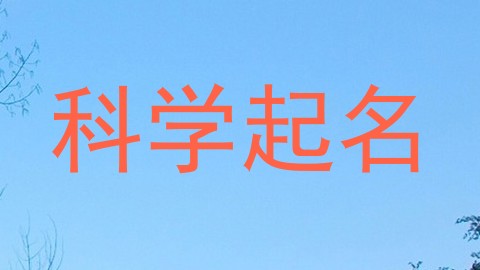 科学起名