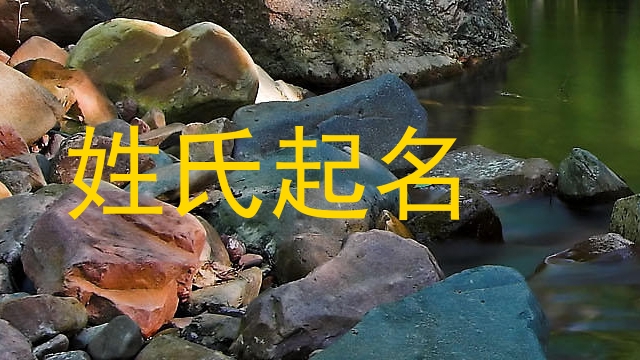 姓氏起名