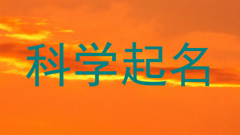 科学起名
