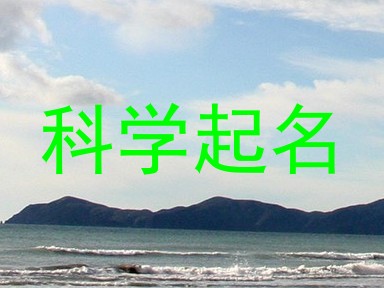 科学起名