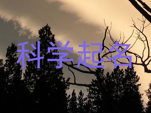 科学起名