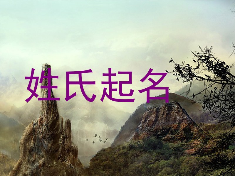 姓氏起名